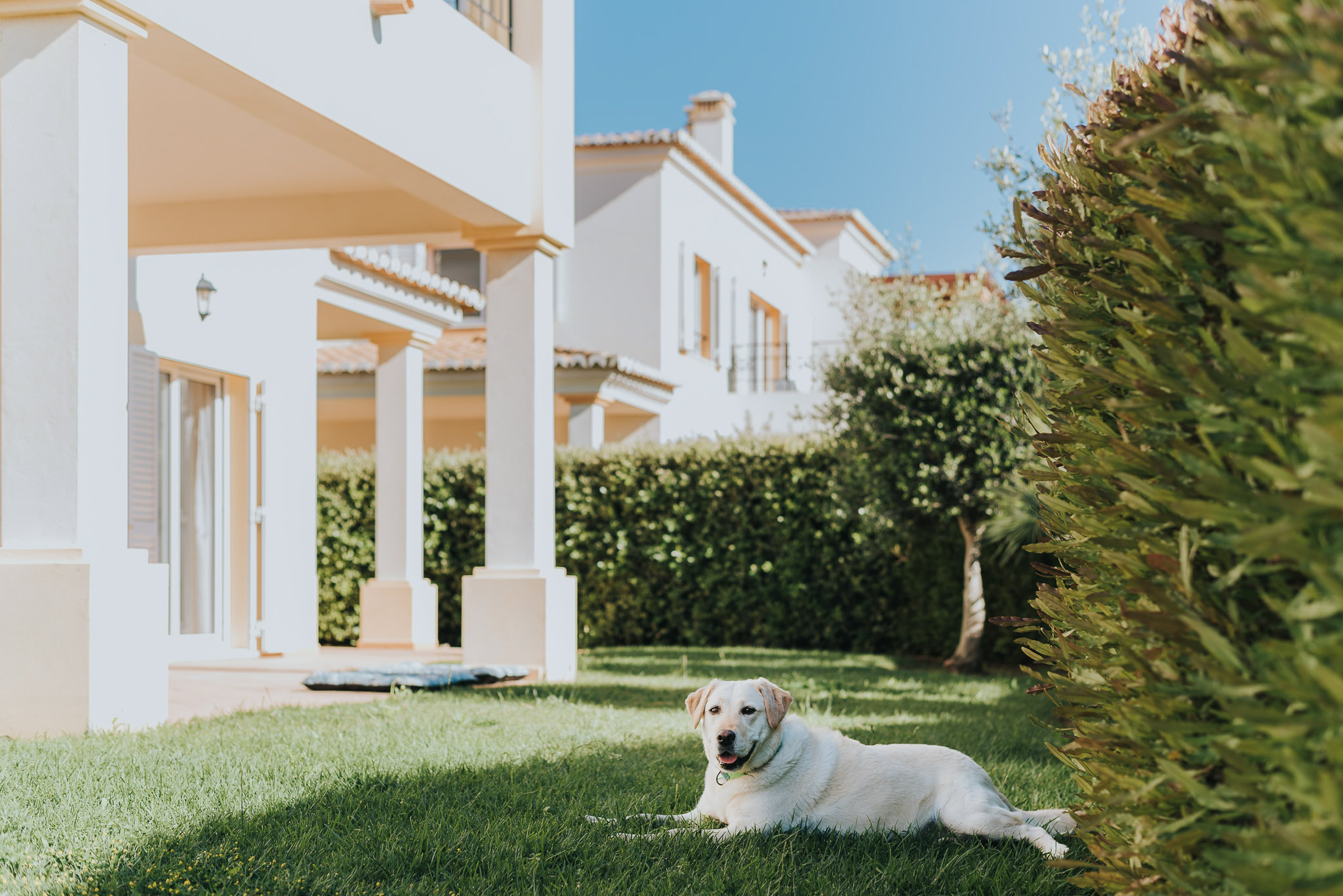 Alojamento Pet Friendly – NAU Salema Beach Village
